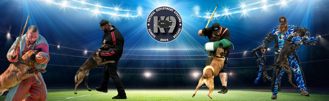 Sport Dog Training Redefined