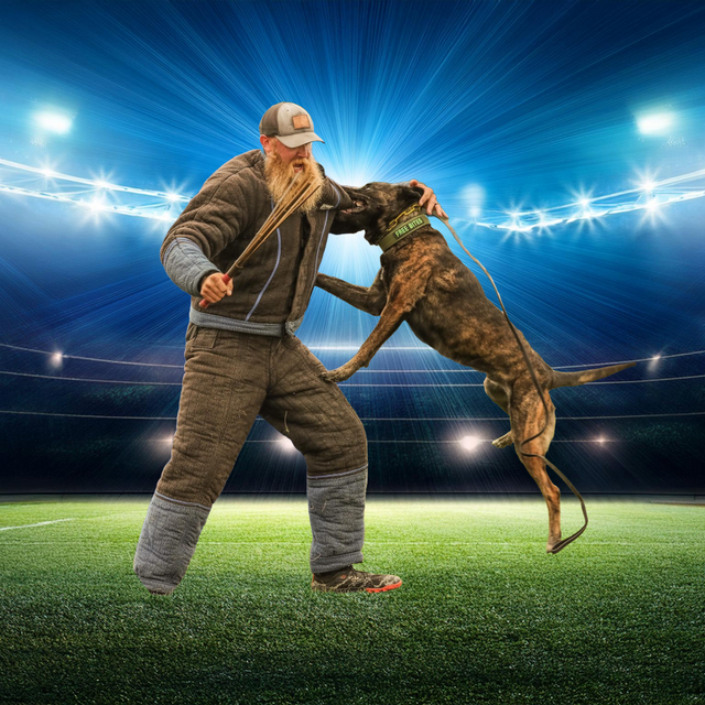 Sport Dog Training