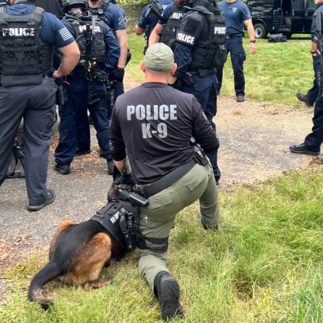 Tactical K9 Units